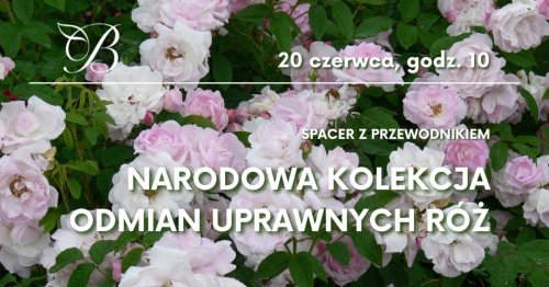 Spacer z przewodnikiem po Narodowej Kolekcji Odmian Uprawnych Róż