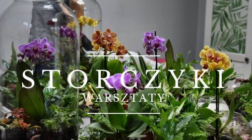 Storczyki w szkle