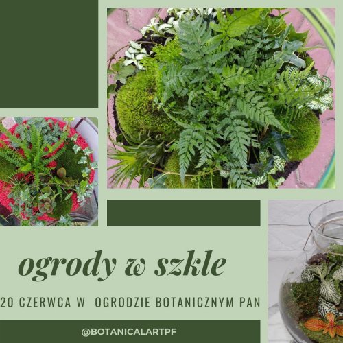 Stwórz swój własny ogród w szkle - na warsztatach florystycznych