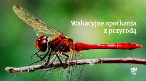 Wakacyjne spotkania z przyrodą w ogrodach wilanowskich