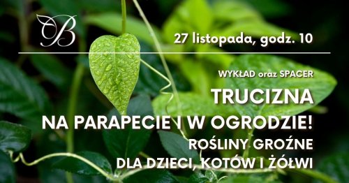 Trucizna na parapecie i w ogrodzie! Rośliny groźne dla dzieci, kotów i żółwi