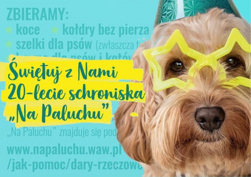 Zbiórka dla schroniska